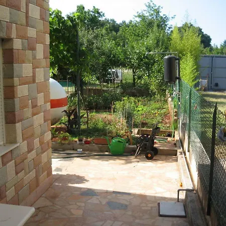 Apartments Sandra Novigrad Istria Exterior foto