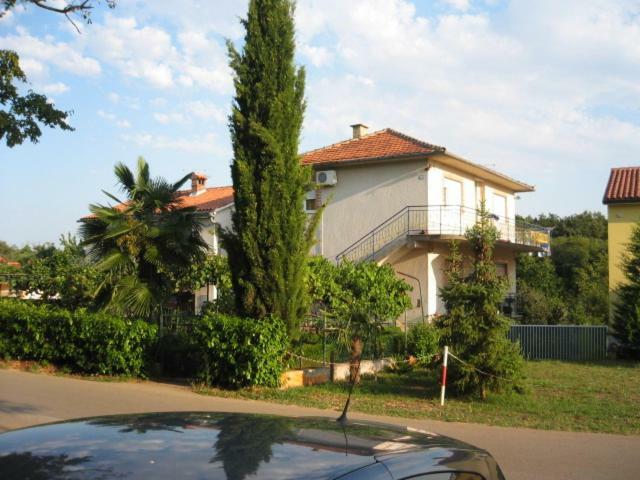 Sandra